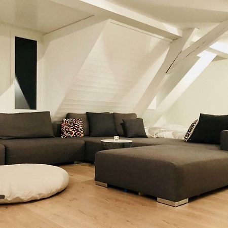 Luxury Penthouse Apartment Zurych Zewnętrze zdjęcie