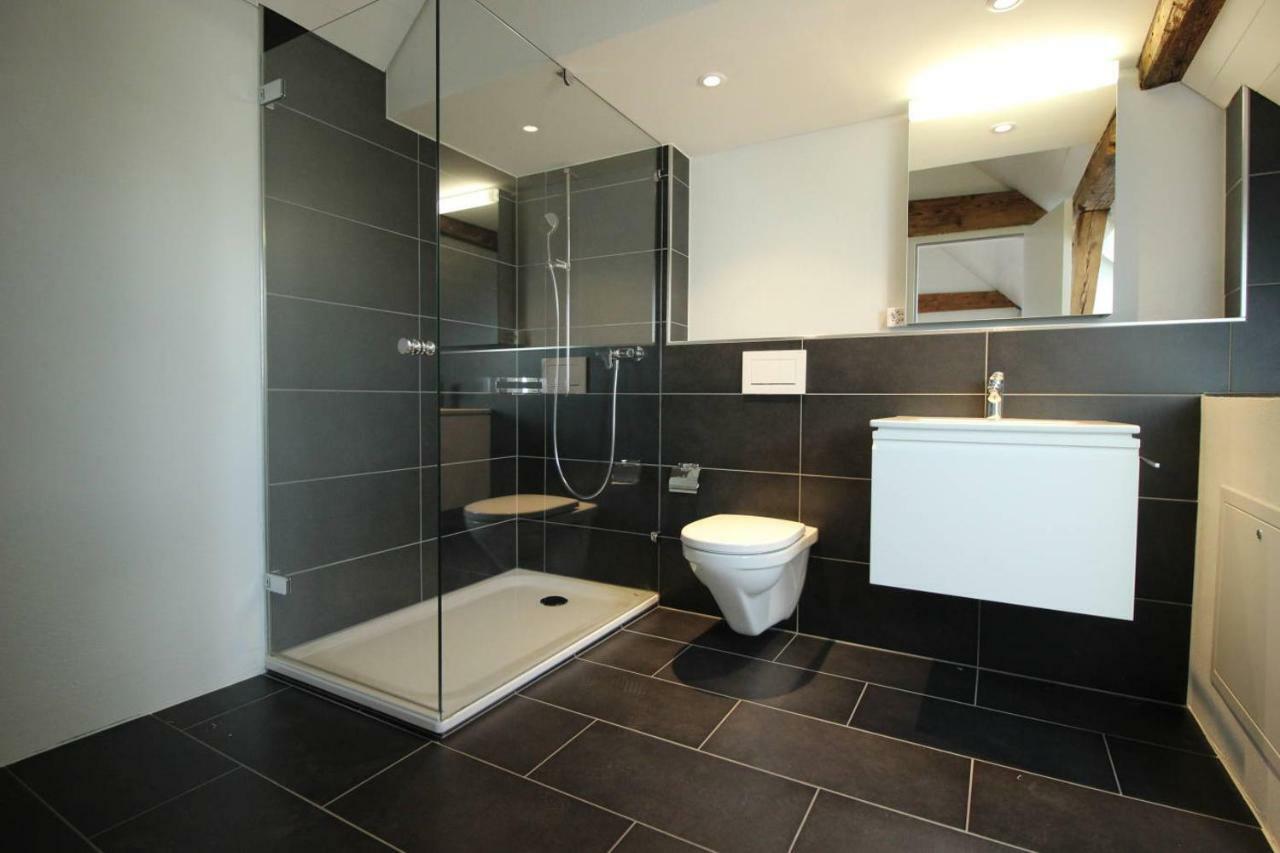 Luxury Penthouse Apartment Zurych Zewnętrze zdjęcie