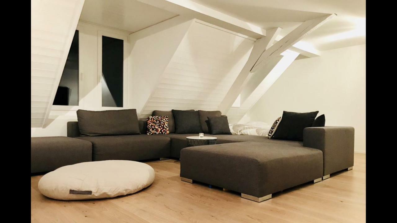 Luxury Penthouse Apartment Zurych Zewnętrze zdjęcie