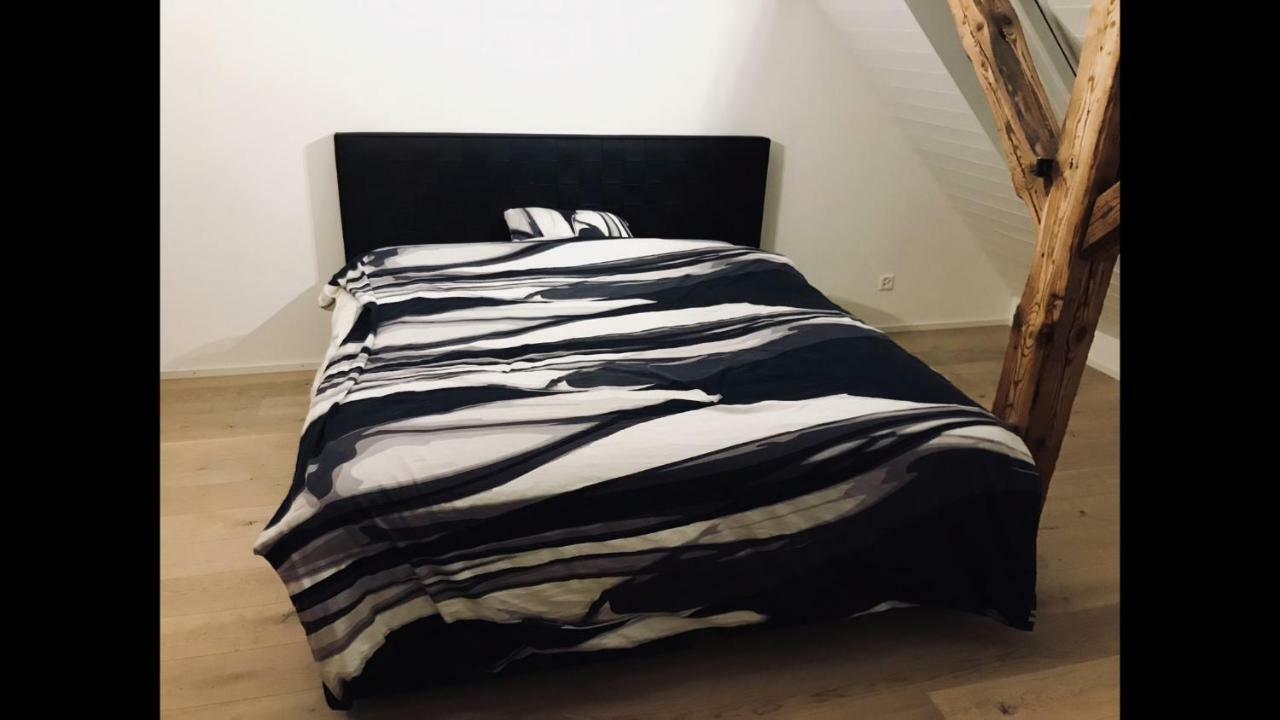 Luxury Penthouse Apartment Zurych Zewnętrze zdjęcie